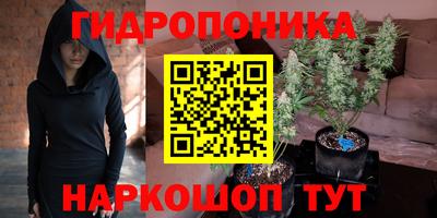индика Пыть-Ях