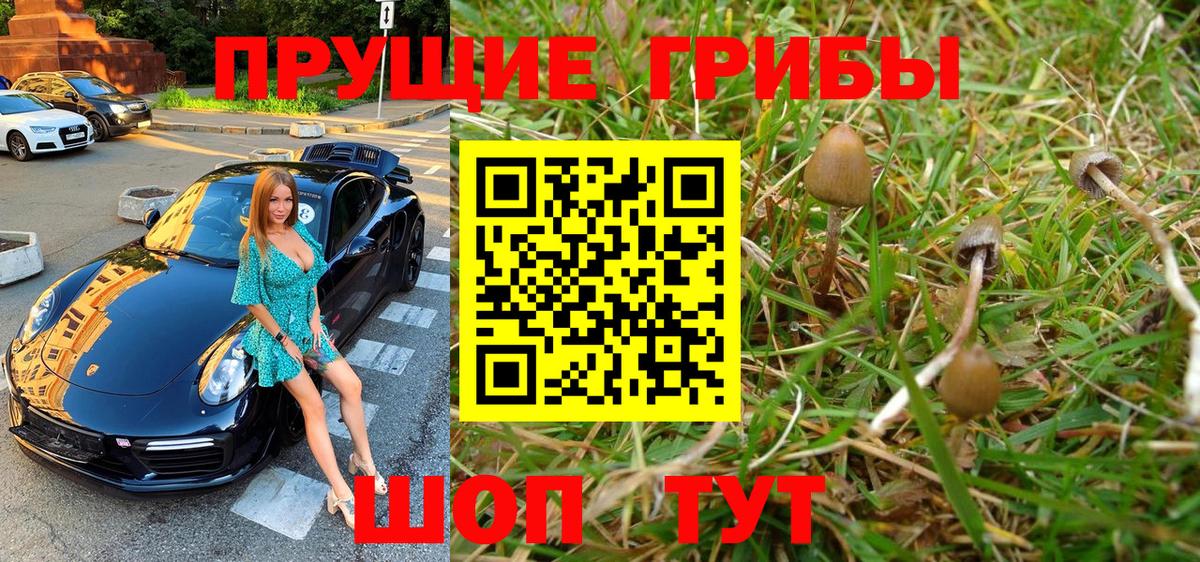 Галлюциногенные грибы MAGIC MUSHROOMS Ржев