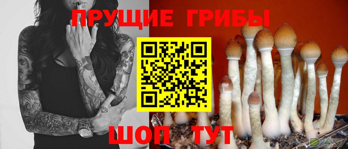 Ржев  Галлюциногенные грибы Cubensis  Вход с VPN  Галлюциногенные грибы Magic Shrooms 